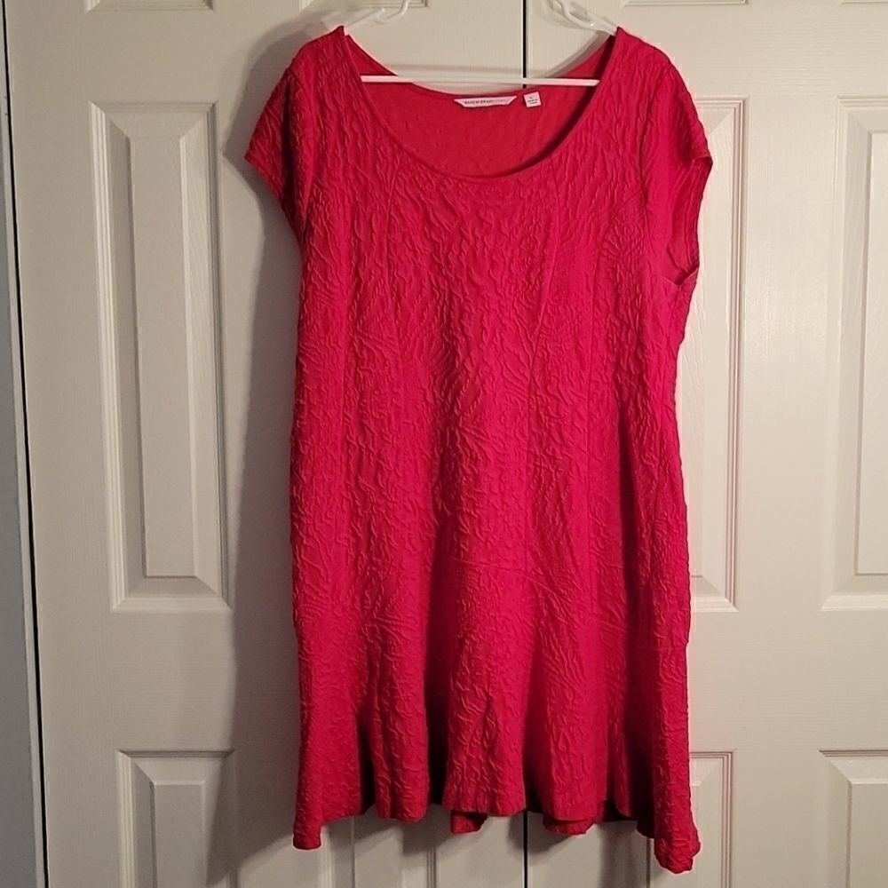 Isaac Mizrahi Live!  Dress size L